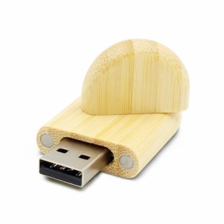 USB Flash disk TDW001