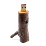 USB Flash disk TDW11