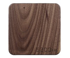 Power Wood 2 5000mAh