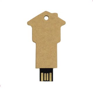 USB Flash disk TDW24